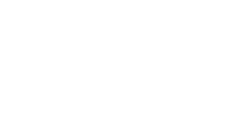 BAG SHOW LOGO